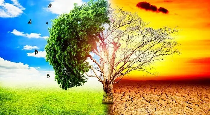 https://heylink.me/indahharum108/